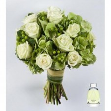 1 dozen White Roses in a Bouquet